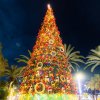 Things to do this month on Ibiza | December 2024