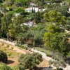 Free guided walks in Santa Eulalia