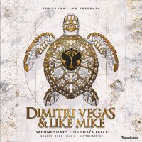 Tomorrowland presents Dimitri Vegas & Like Mike